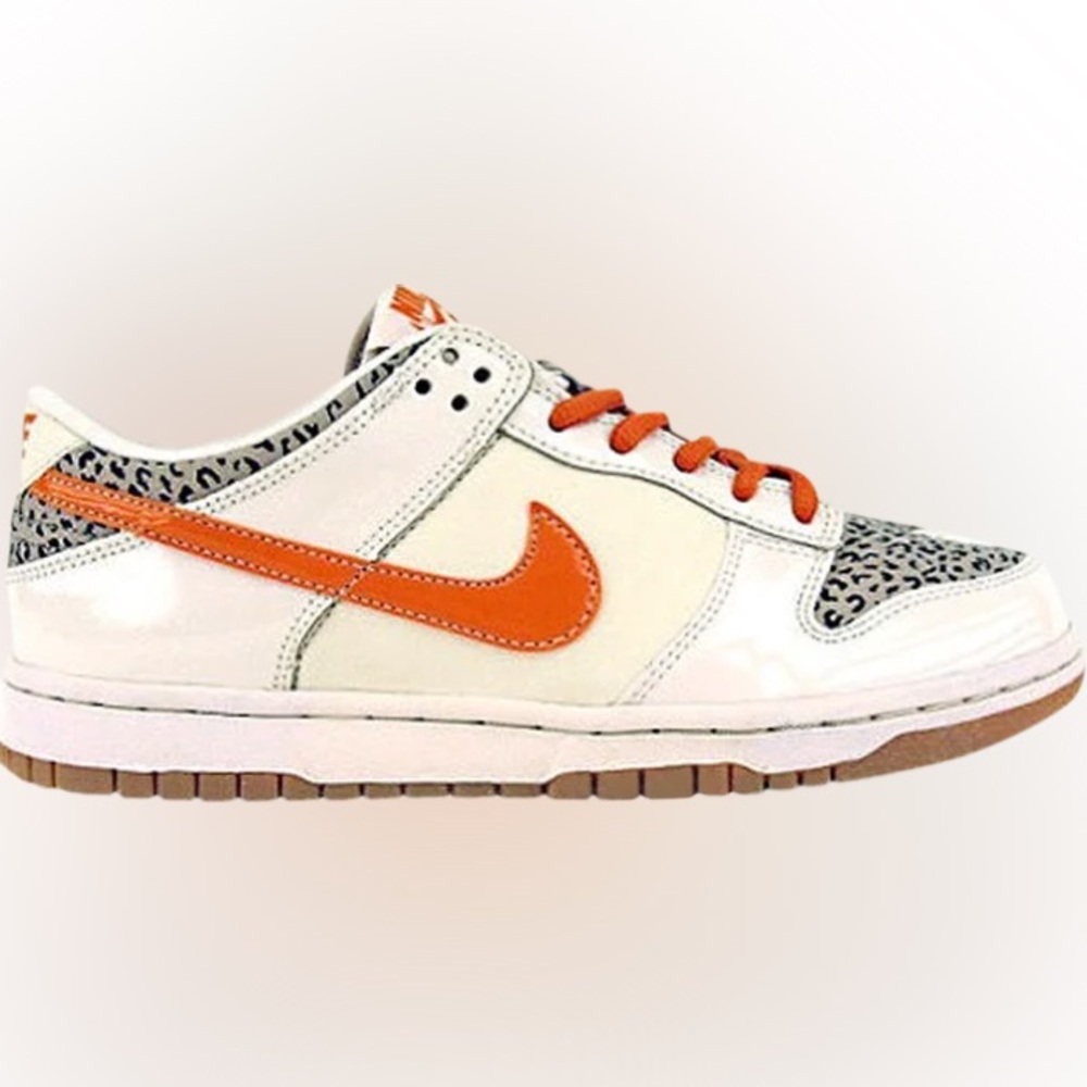 Collector’s Edition 2008 Nike Dunk Low Leopard Size 6Y